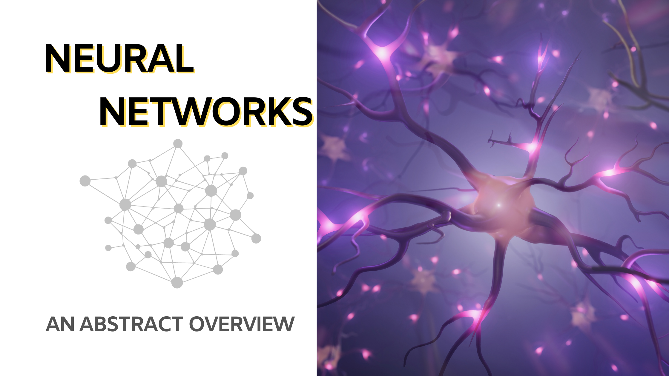 Understanding Neural Networks - Mimicking the Brain